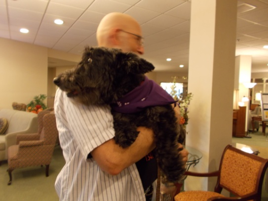 セラピー犬.jpg